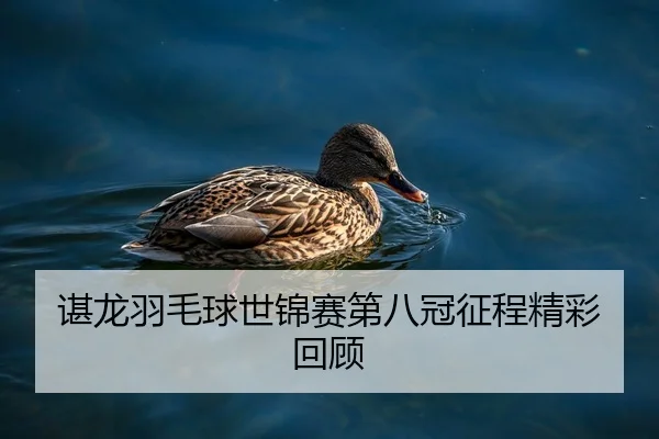 谌龙羽毛球世锦赛第八冠征程精彩回顾